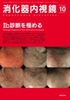 消化器内視鏡 13年10月号 表紙
