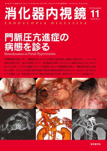 消化器内視鏡 13年11月号 (発売日2013年11月25日) 表紙