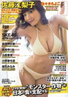 週刊プレイボーイ/週プレ 5/27号 表紙
