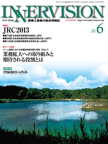 INNERVISION（インナービジョン） 2013年6月号 (発売日2013年06月01日) 表紙