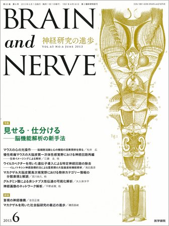 BRAIN and NERVE（ブレインアンドナーブ） Vol.65 No.6 (発売日2013年06月01日) 表紙