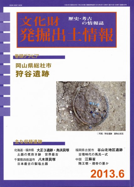文化財発掘出土情報 6月号 (発売日2013年06月01日) 表紙