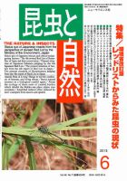 昆虫と自然 6月号 表紙