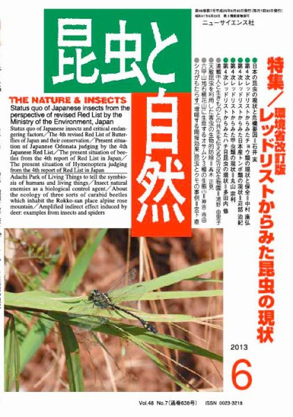 昆虫と自然 6月号 (発売日2013年05月20日) 表紙