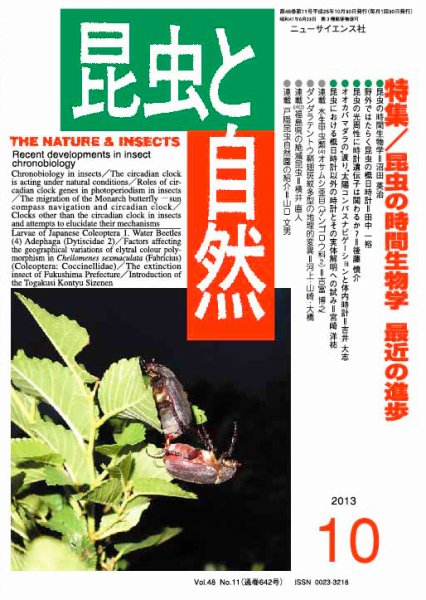 昆虫と自然 10月号 (発売日2013年09月21日) 表紙