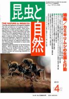 昆虫と自然 4月臨時増刊号 表紙
