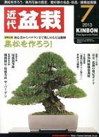 月刊 近代盆栽 7月号 表紙