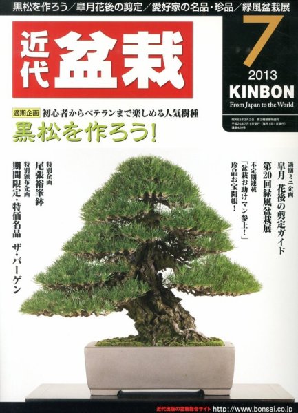 月刊 近代盆栽 7月号 (発売日2013年06月04日) 表紙