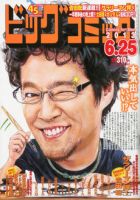 ビッグコミック 6/25号 (発売日2013年06月10日) 表紙