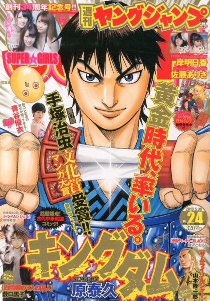 週刊ヤングジャンプ 5/30号 (発売日2013年05月16日) 表紙