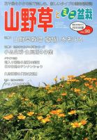 山野草とミニ盆栽 7月号 (発売日2013年06月12日) 表紙