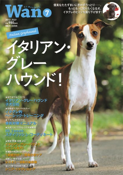 wan（わん） 2013年7月号 (発売日2013年06月14日) 表紙