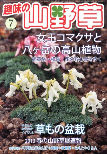 趣味の山野草 7月号 (発売日2013年06月12日) 表紙