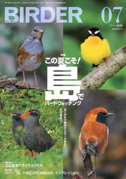 BIRDER（バーダー） 2013年7月号 (発売日2013年06月15日) 表紙
