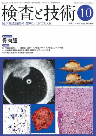 検査と技術 Vol.41 No.11 (発売日2013年10月01日) 表紙