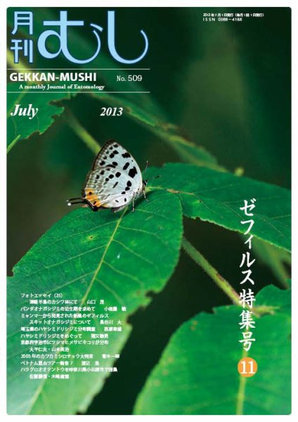 月刊むし 509 (発売日2013年06月22日) 表紙
