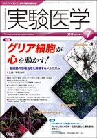 実験医学 Vol.31No.11 表紙
