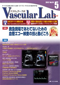 Vascular Lab（バスキュラー・ラボ） 2013年5号 (発売日2013年10月14日) 表紙