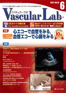 Vascular Lab（バスキュラー・ラボ） 2013年6号 (発売日2013年12月14日) | 雑誌/定期購読の予約はFujisan