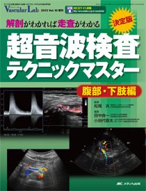 Vascular Lab（バスキュラー・ラボ） 増刊 (発売日2013年09月10日) 表紙