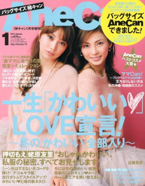 バッグサイズAneCan 1月号 (発売日2012年12月07日) 表紙