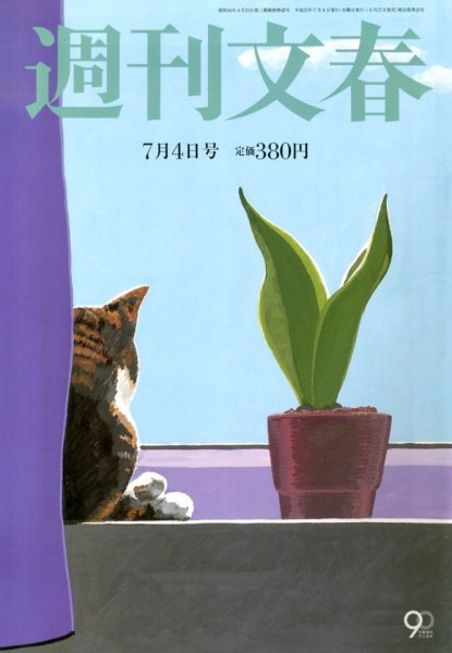 週刊文春 7/4号 (発売日2013年06月27日) 表紙