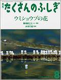 たくさんのふしぎ 2013年8月号 (発売日2013年07月03日) 表紙