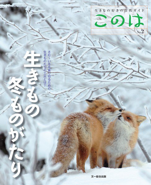 生きもの好きの自然ガイド「このは」 No.2 (発売日2012年12月20日) 表紙