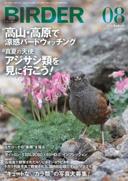BIRDER（バーダー） 2013年8月号 (発売日2013年07月16日) 表紙