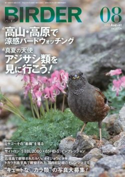 雑誌/定期購読の予約はFujisan 雑誌内検索：【クモ】 がBIRDER