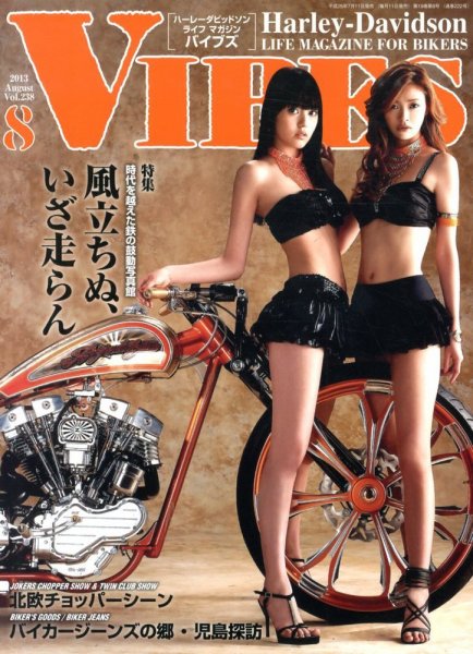 VIBES（バイブズ） 8月号 (発売日2013年07月11日) 表紙
