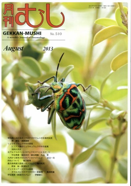 月刊むし 510 (発売日2013年07月22日) 表紙