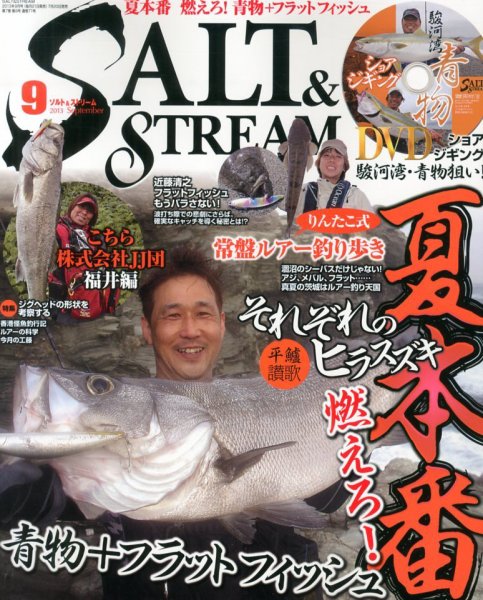 SALT＆STREAM（ソルト＆ストリーム） 9月号 (発売日2013年07月20日) 表紙