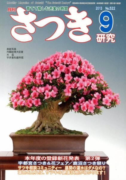 さつき研究 9月号 (発売日2013年08月05日) 表紙