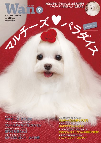 wan（わん） 2013年9月号 (発売日2013年08月12日) 表紙