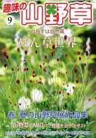 趣味の山野草 2017年01月号 Amazon.co.jp: 趣味の山野草1月号 : 株式