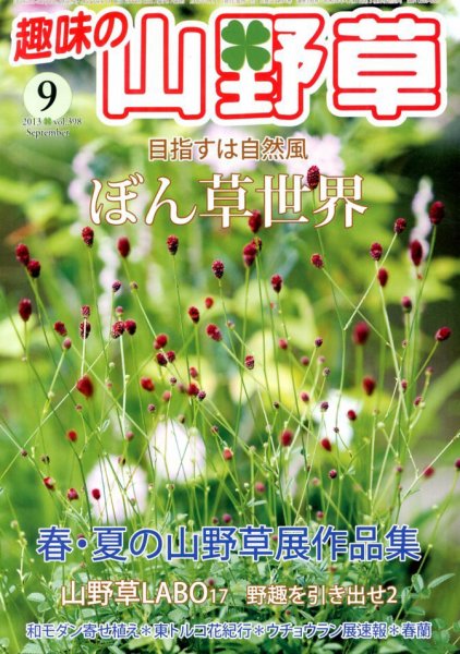 趣味の山野草 9月号 (発売日2013年08月12日) 表紙