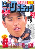 ビッグコミック 8/25号 (発売日2013年08月10日) 表紙