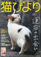 猫びより 71号 (発売日2013年08月12日) 表紙