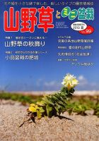 山野草とミニ盆栽 9月号 (発売日2013年08月12日) 表紙
