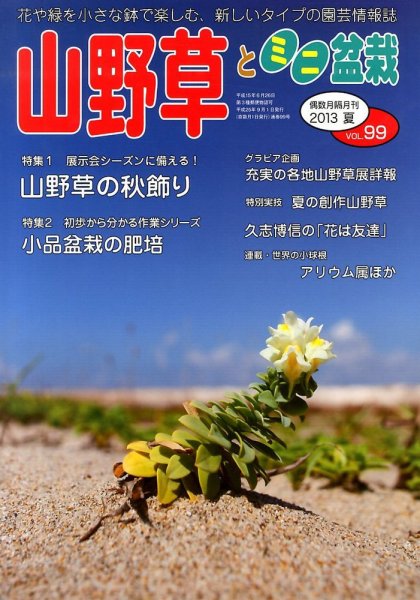 山野草とミニ盆栽 9月号 (発売日2013年08月12日) 表紙