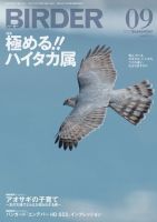 BIRDER（バーダー） 2013年9月号 (発売日2013年08月16日) 表紙