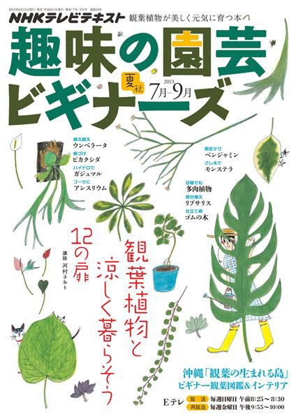 NHK 趣味の園芸ビギナーズ  7月号 (発売日2013年06月21日) 表紙