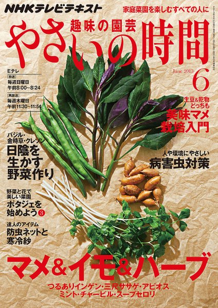 NHK 趣味の園芸 やさいの時間 6月号 (発売日2013年05月21日) 表紙