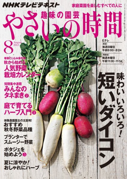 NHK 趣味の園芸 やさいの時間 8月号 (発売日2013年07月20日) 表紙
