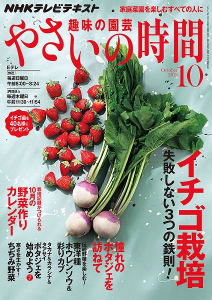 NHK 趣味の園芸 やさいの時間 10月号 (発売日2013年09月21日) 表紙