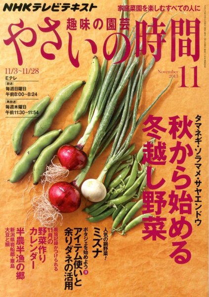 NHK 趣味の園芸 やさいの時間 11月号 (発売日2013年10月21日) 表紙