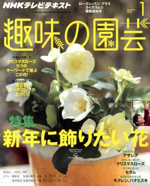 NHK 趣味の園芸 1月号 (発売日2013年12月21日) 表紙