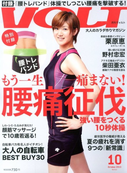 VOLT（ヴォルト）  10月号(vol.12) (発売日2013年08月22日) 表紙