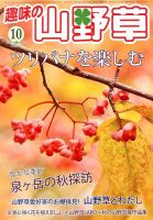 趣味の山野草 10月号 (発売日2013年09月12日) 表紙